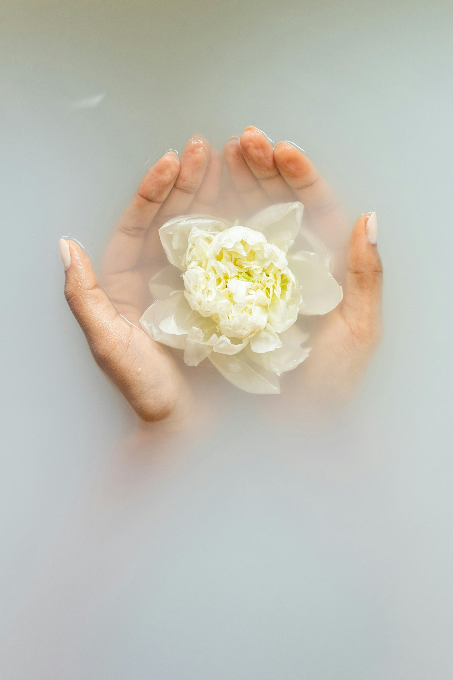 Scented Rituals
